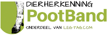 Pootband